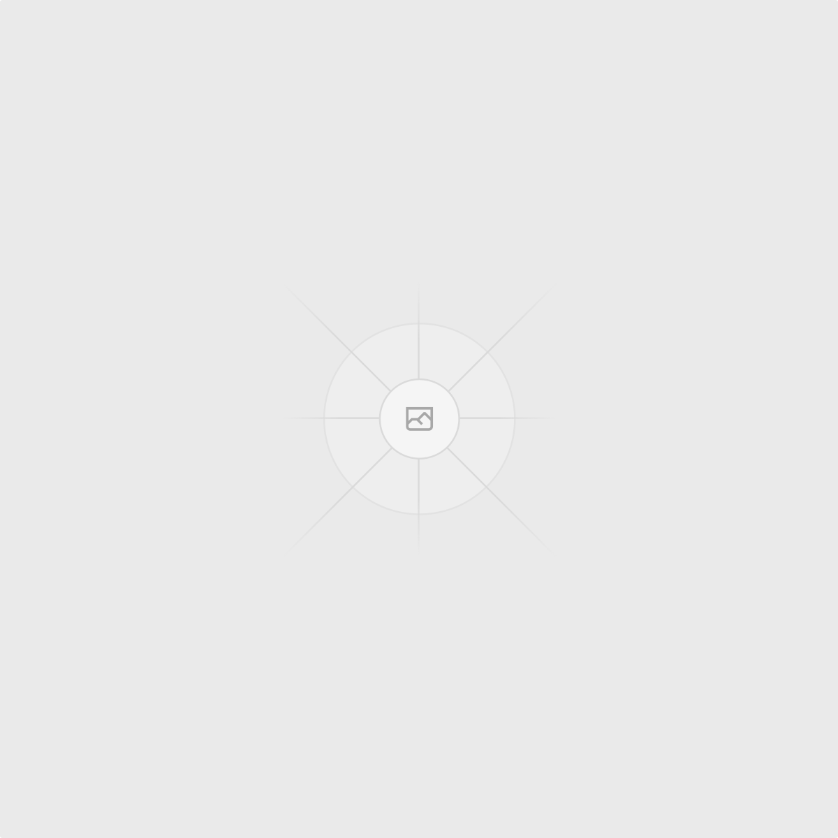 Boldt & Co. logo mark